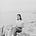 Frances Powless's avatar