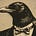 Jim Geschke's avatar