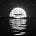 Moonlight Capital's avatar