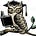 Shareholdersunite's avatar