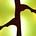 trenchantly's avatar
