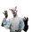 Tilman Porschütz's avatar