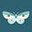 Christina Chung's avatar
