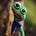 JGCommentary's avatar