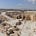 The Ancient World's avatar