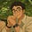 Alexandre's avatar