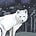 Pikari's avatar