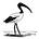 Ibis Coordination's avatar