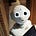 Tech Recruiter's avatar