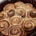 The Oxford Food Diaries's avatar