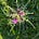 Elaine M Sammon's avatar