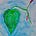 What's That Plant?!'s avatar