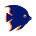 Avatar de Tô Aquariando