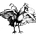 CLUB CINÉ's avatar