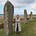 Jennifer Murphy's avatar