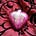 Louise de Caux's avatar