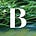 Backroad Portfolio's avatar