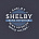 Shelby News Reporter's avatar