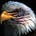 Olde Eagle's avatar
