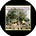 The Olive Tree POC's avatar