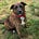 Thurston D. Gill Jr.'s avatar