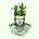Rajeev Ram's avatar
