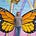 Craig Macbeth's avatar