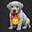 Big Dog 1111's avatar