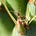 Athirst For Mutualism's avatar
