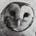 Tobin Owl's avatar