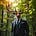 M Jones's avatar