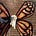Minnie Mayhem's avatar