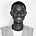 Aliyu Ibrahim Usman's avatar
