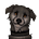 Silver's avatar
