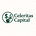 Celeritas Capital's avatar
