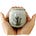 The Urns For Ashes's avatar