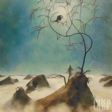 Pika Labs animated gif