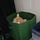Rosemary’s Substack