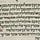 Scribal Error