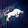 The Bulls Market