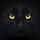 BlackieKat
