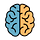 Synapse