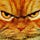 SteveTheCat