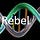 The Medical Rebel Commentary