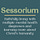 Sessorium
