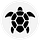 Turtles Research