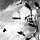 Ingolf Eide