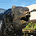 Bruin4ever