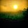 Cathleen Falsani: This Numinous World