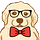 The Golden Pupper